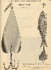 John Pritzlaff Antique Fishing Lure Catalog Showing Pflueger Lures 