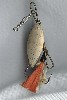 Antique Fishing Lure, the Chapman Pickerel Size 8