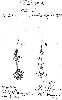 Chapman Antique Lure Patent for the Trolling Hook