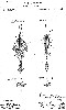 Chapman Antique Lure Patent for the Allure