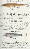 1931 Chreek Chub Lure Catalog Showing the Husky Pikie, Jointed husky Pikie, and Husky Musky