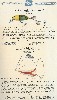1931 Chreek Chub Lure Catalog Showing the Beetle and the Sinful Sail