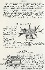 1931 Creek Chub Lure Catalog 