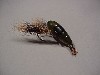 Creek Chub Fly Rod Crawdad