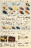 1934 Heddon Lure Catalog showing Bass Bugs, Bug -A- Bee, and Westchester Bug