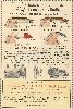 1934 Heddon Lure Catalog Rear Cover
