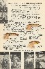 1941 Heddon Lure Catalog