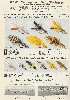 1941 Heddon Lure Catalog