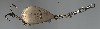 Old fishing lure made by John H Mann, the Improved Trolling Spoon