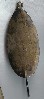 Old fishing lure made by John H Mann, the Single Hook Oval Spoon