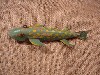 William Shakespeare Underwater Minnow #33 Paint Stick