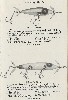 1925 Moonlight Bait Company Lure Catalog showing 3 & 5 hook Minnows