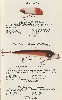 1925 Moonlight Bait Company Lure Catalog showing Babe Eat Us and Pikaroon