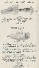 1925 Moonlight Bait Company Lure Catalog Showing Feather Casting Minnow and Fish Nipple