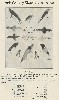 1925 Moonlight Bait Company Lure Catalog Showing Newest Moonlight Minnows