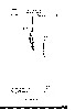 Pflueger Antique Lure Patent for Sucess Spinner