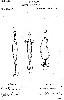 Pflueger Antique Lure Patent for Luminous Paint