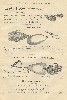 Reuben Woods Antique Fishing Tackle Catalog Showing Pflueger, Chapman, and Mann Lures