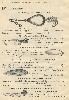 Reuben Woods Antique Fishing Tackle Catalog Showing Mann and Harlow Lures