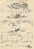 Reuben Woods Antique Fishing Tackle Catalog Showing Skinner, McHarg and Loftie Lures