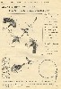 Reuben Woods Antique Fishing Tackle Catalog Showing the P. & S. Bearing Lures