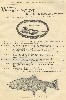 Reuben Woods Antique Fishing Tackle Catalog Showing Complete Trolling Kit