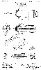 Shakespeare Antique Lure Patent for the Sure Lure