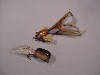Shakespeare Antique Lures the Kazoo Feathered Minnow