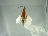 Antique Lure Packing Stage 3